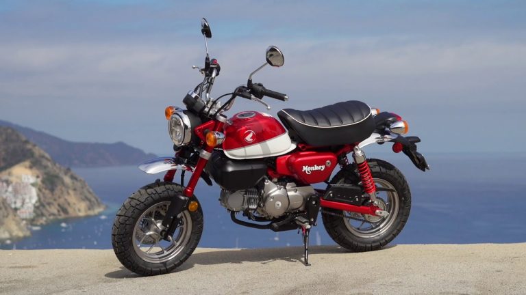 Will We See 2020 Honda Monkey? | Page 10 of 11 | GoMotoRiders