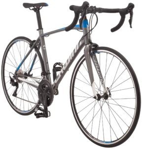 Schwinn Fastback Carbon Road Bike