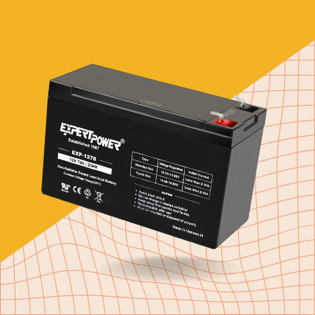 ExpertPower 12V 7 Amp EXP1270 Rechargeable Lead Acid Battery